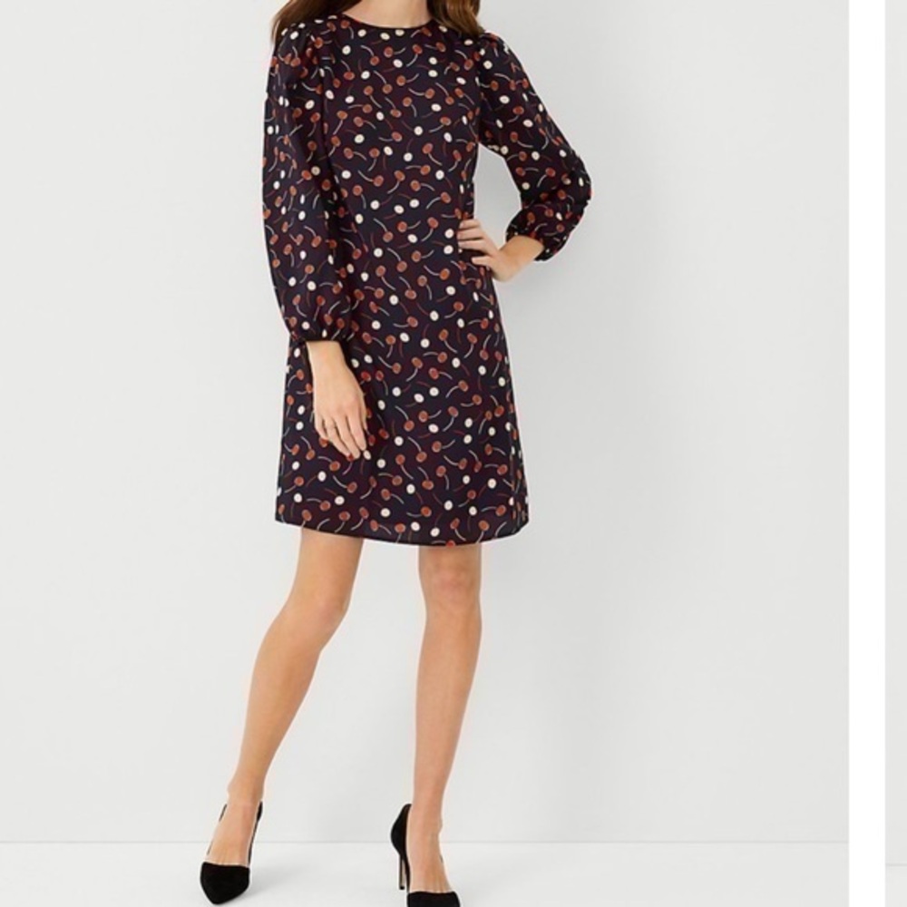 Ann Taylor Dress